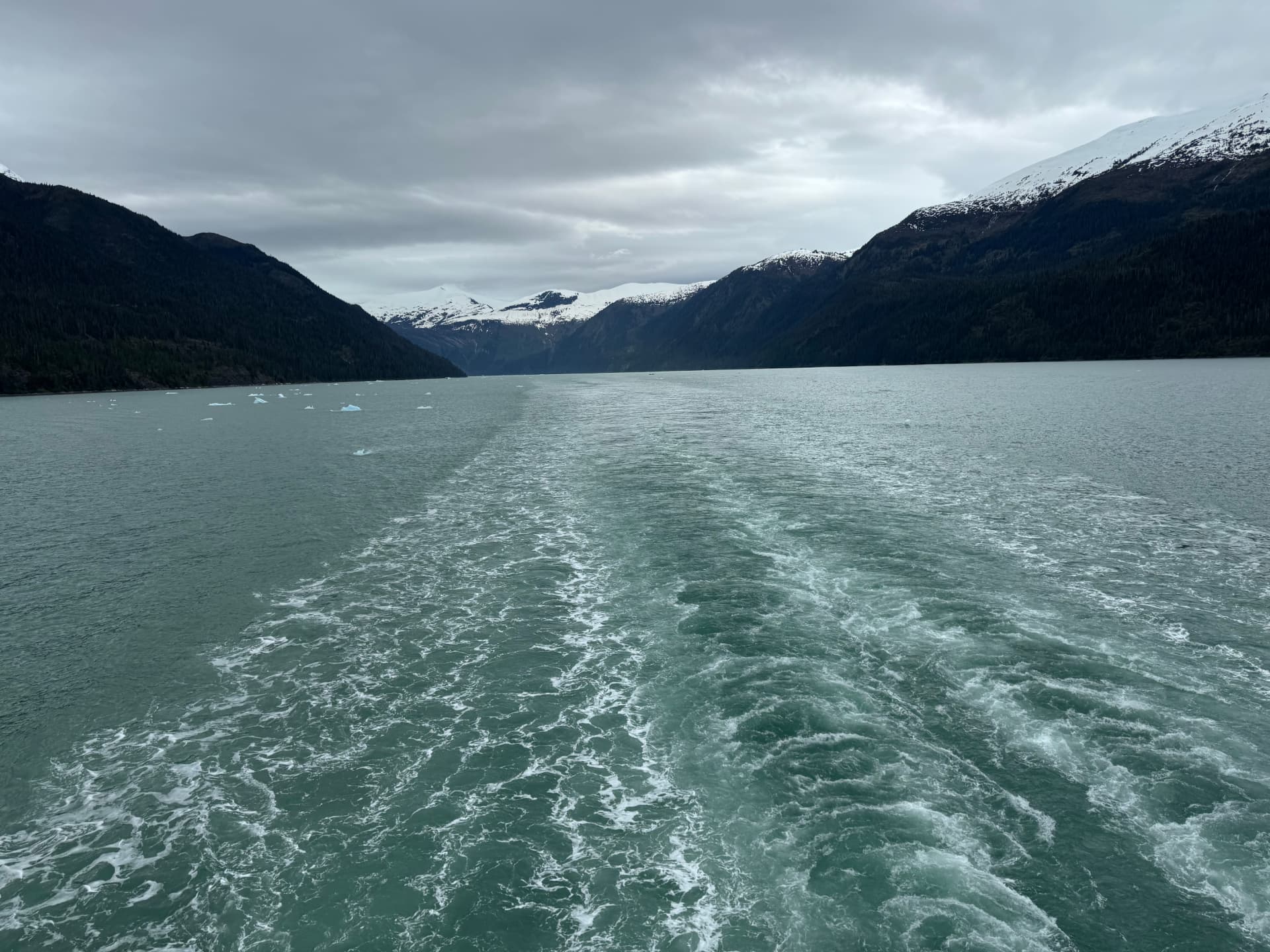 Ship wake trailing through a green Alaska fjord toward snow-capped mountains