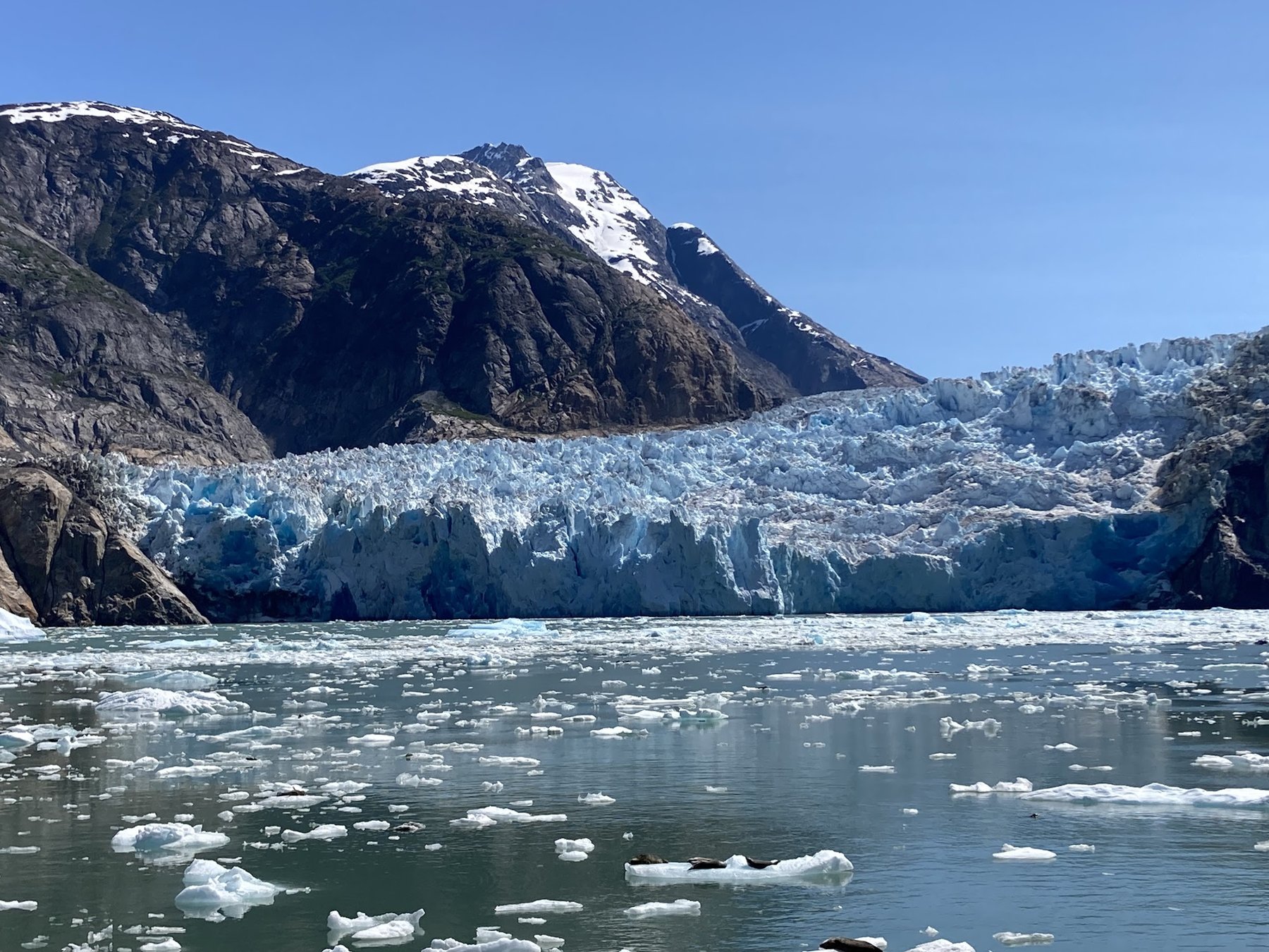 Tidewater glacier face calving icebergs into an Alaskan bay