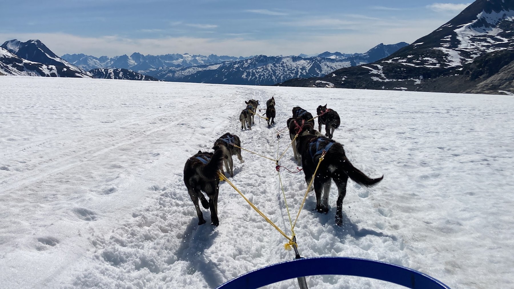 Sled-dog team running across an Alaskan glacier