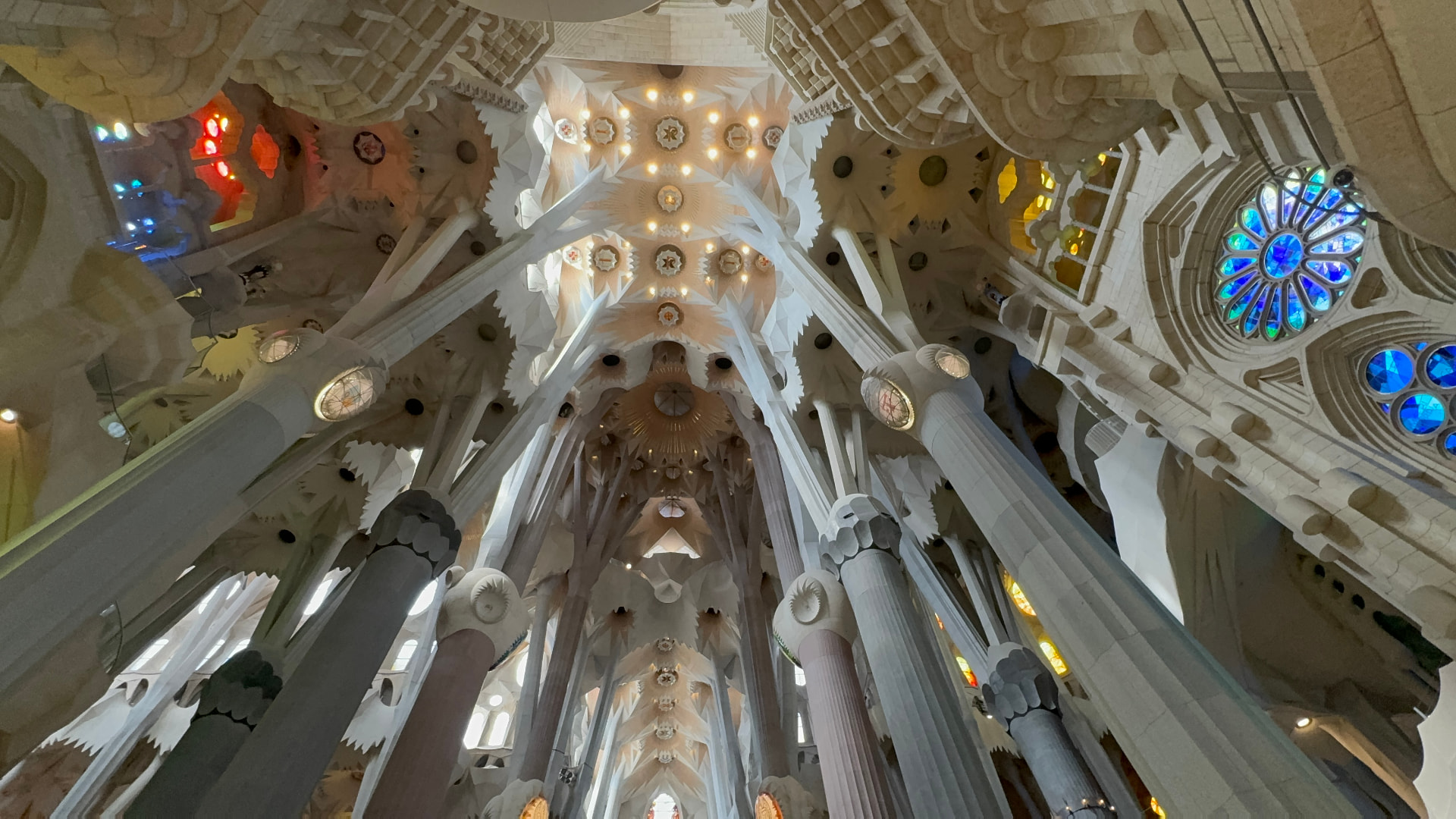 The branching columns and ceiling of the Sagrada Família