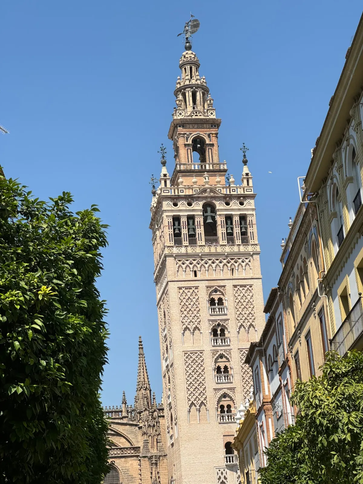 The Giralda bell tower above orange trees in Seville