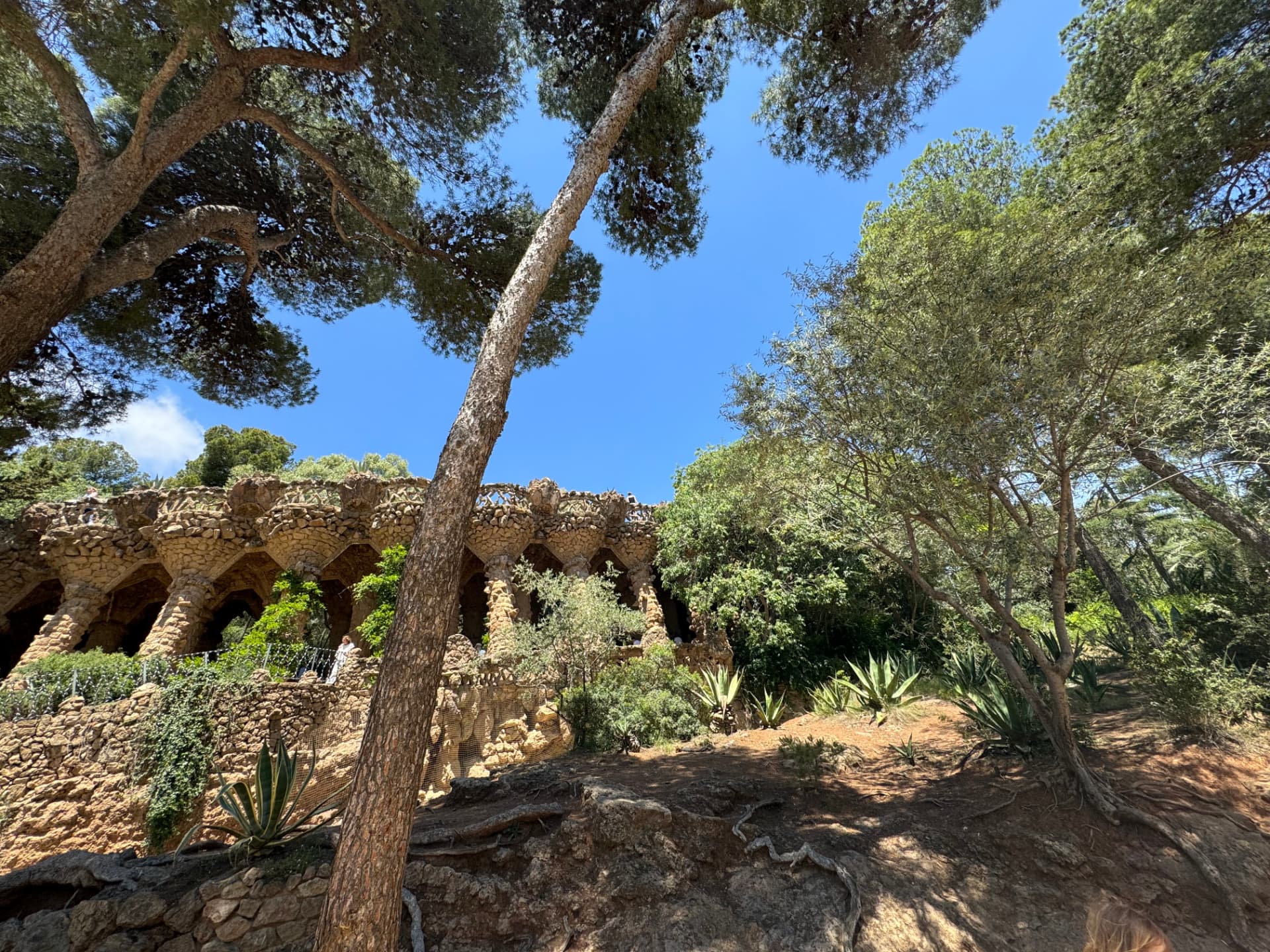 Stone viaduct among the pines at Park Güell, Barcelona