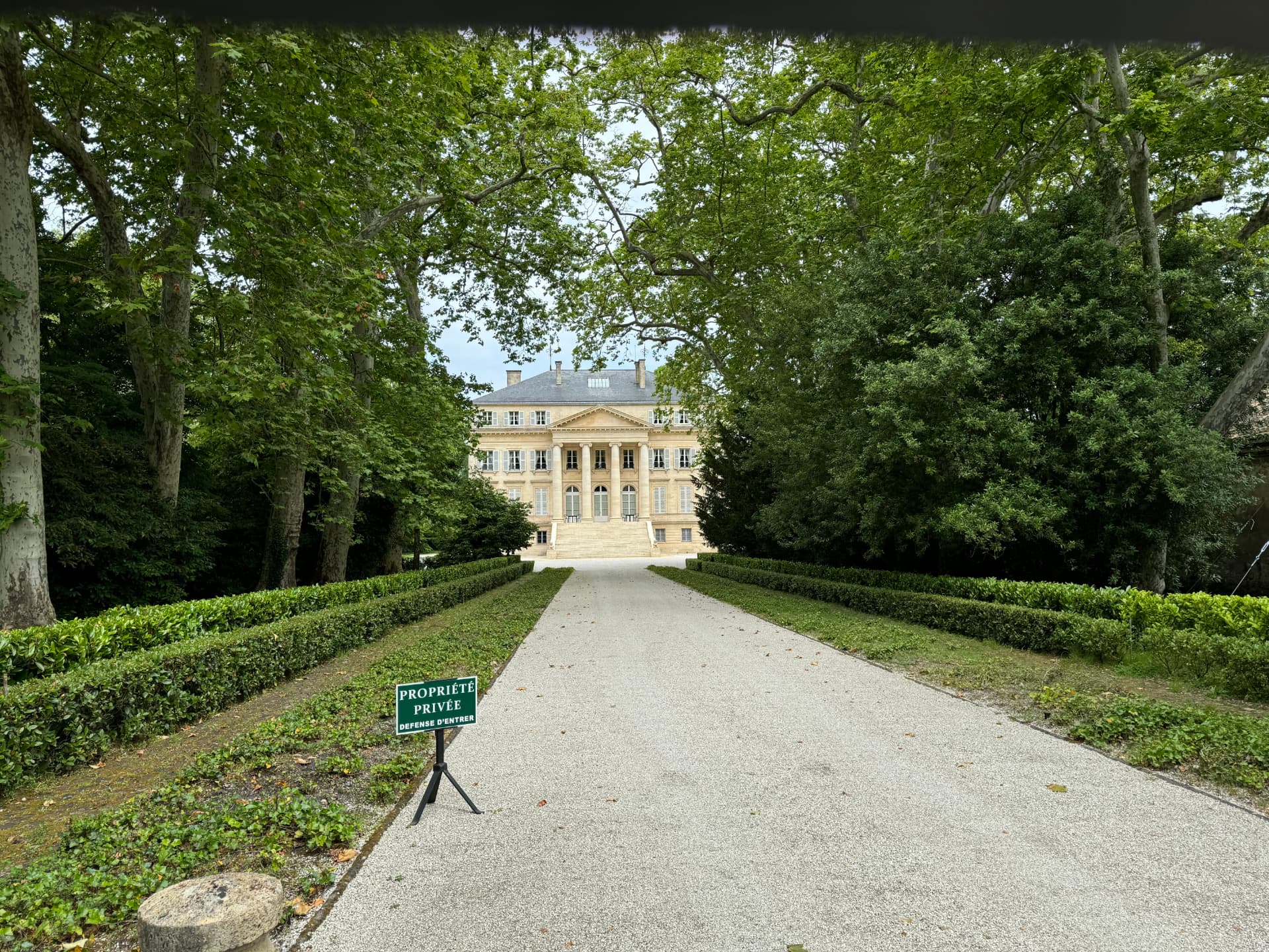 A tree-lined drive leading to a Médoc château