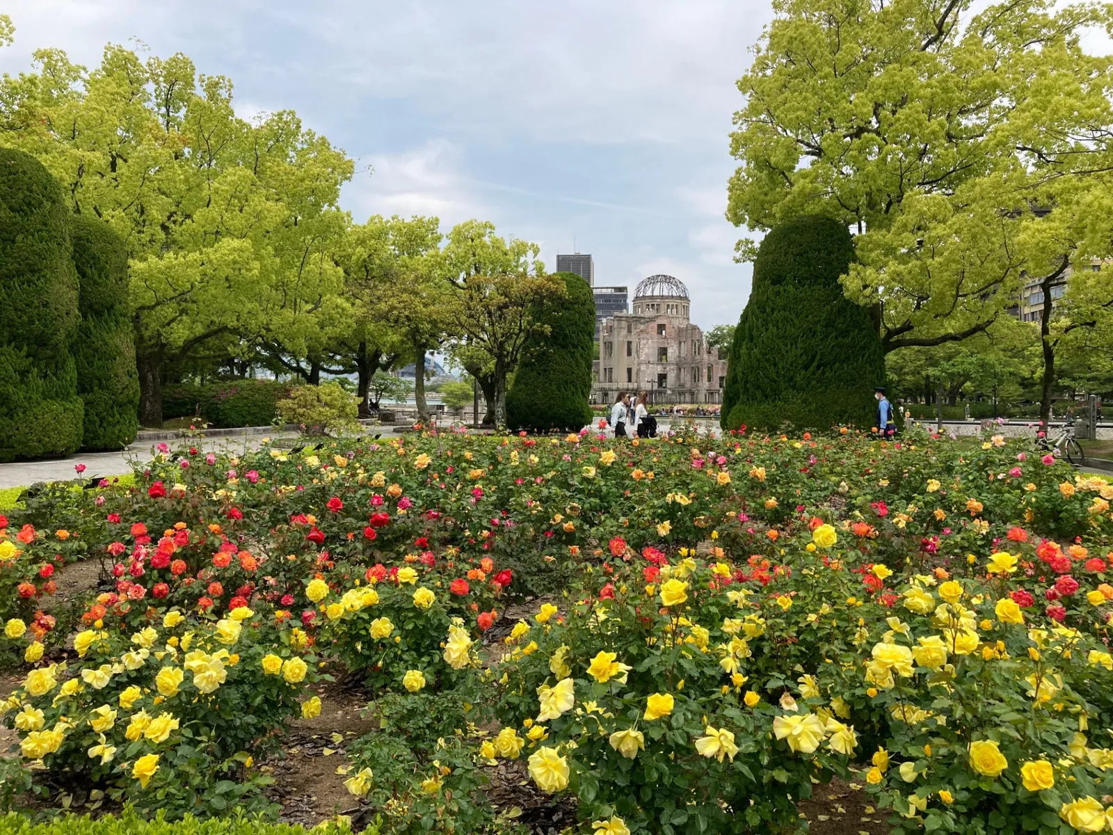 Rose garden with the Atomic Bomb Dome in the distance, Hiroshima Peace Memorial Park