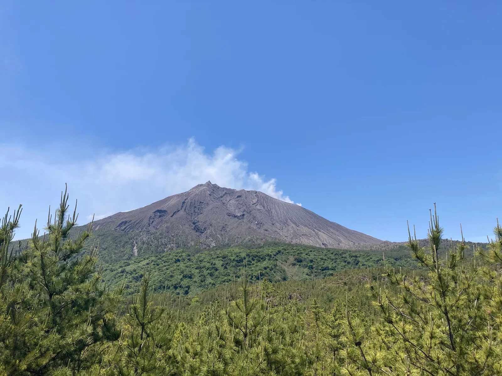 Sakurajima active volcano venting steam over Kagoshima Bay